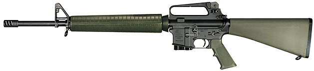 m15a2.jpg (15983 ֽ)